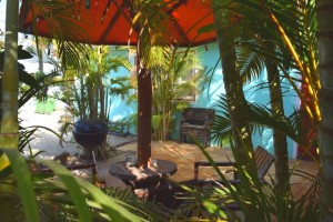 Duikvakantie Bonaire Tropicana appartments vakantieduiker tuin