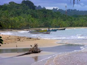 Duikvakantie Costa Rica Vakantieduiker strand erik planting