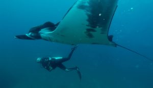 Mantarog duikvakantie Costa Rica