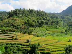 Duikvakantie Bali Eiland van de Goden