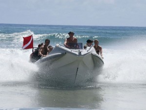 duikvakantie Mozambique tofo diversity duikboot vakantieduiker