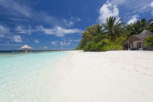 duikvakantie malediven bathala_island vakantieduiker zee