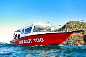 Duikvakantie Bali duikboot vakantieduiker