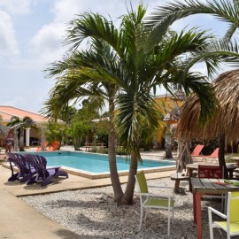 Duikvakantie Bonaire Djambo - Vakantieduiker