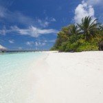 Duikvakantie Malediven - Vakantieduiker
