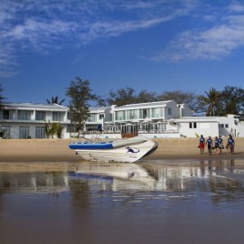 Manta's en walvishaaien Tofo Mozambique - Vakantieduiker