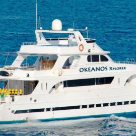 Duikvakantie Egypte Combi Marsa Shagra en Mini Liveaboard - Vakantieduiker