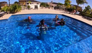 Duikvakantie groepsreis Bonaire duikles wannadive Vakantieduiker